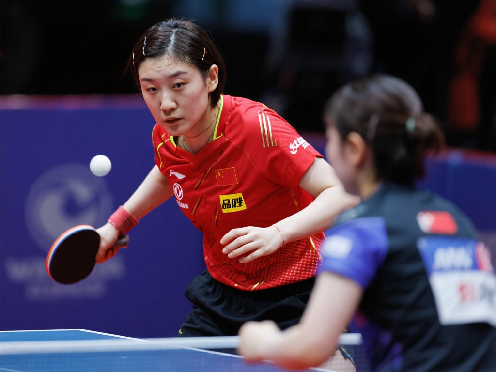 鲜明对比的 鲜明对比的